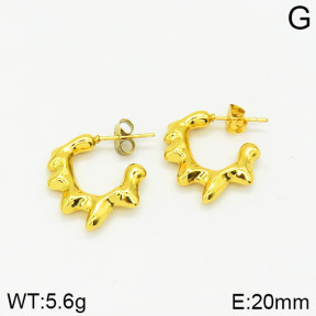 Stainless Steel Earrings  2E2001695vbpb-656