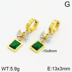 Stainless Steel Earrings  2E4002118bhva-706