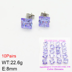 Stainless Steel Earrings  2E4002121vila-254