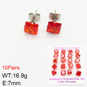 Stainless Steel Earrings  2E4002125vila-254
