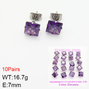 Stainless Steel Earrings  2E4002127vila-254