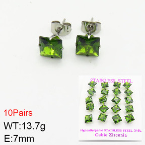 Stainless Steel Earrings  2E4002128vila-254