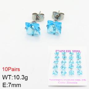Stainless Steel Earrings  2E4002129vila-254