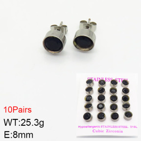 Stainless Steel Earrings  2E4002133ajvb-254