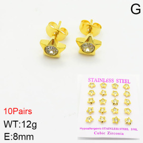 Stainless Steel Earrings  2E4002137ajvb-254