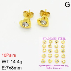 Stainless Steel Earrings  2E4002138ajvb-254