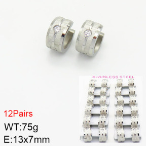 Stainless Steel Earrings  2E4002140alka-387
