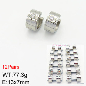 Stainless Steel Earrings  2E4002141akoa-387