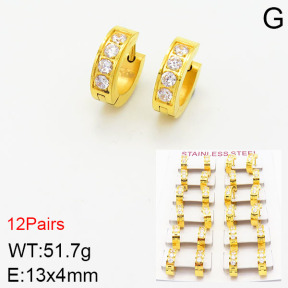 Stainless Steel Earrings  2E4002146bokb-387