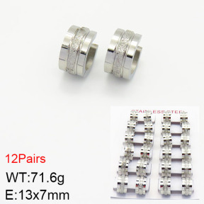 Stainless Steel Earrings  2E5000132akoa-387