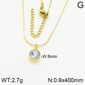 Stainless Steel Necklace  2N4001680vaia-614