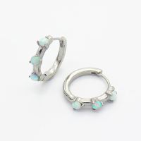 Stainless Steel Earrings  Synthetic Opal,Handmade Polished  WT:3.2g  E:19mm  6E4003788aivb-700