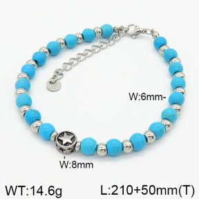 Stainless Steel Bracelet  2B4002401vapa-746