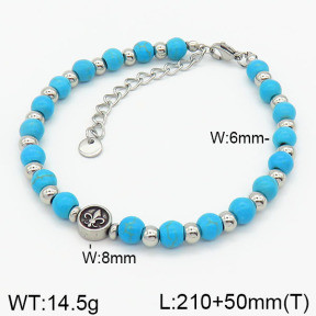 Stainless Steel Bracelet  2B4002402vapa-746