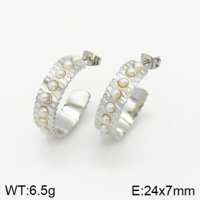 Stainless Steel Earrings  2E3001312vbnl-434