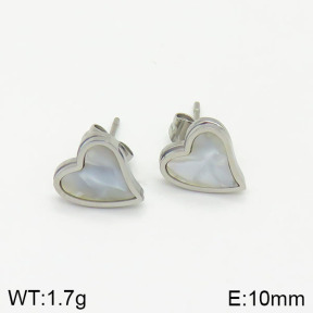 Stainless Steel Earrings  2E4002102baka-434