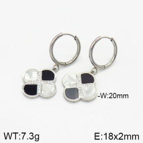 Stainless Steel Earrings  2E4002105vbnb-434