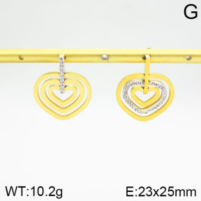 Stainless Steel Earrings  2E4002111bbov-434