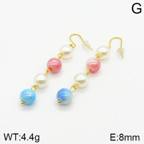 Stainless Steel Earrings  2E4002113vbll-434