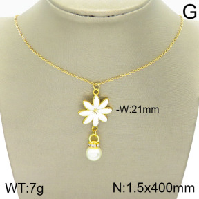 Stainless Steel Necklace  2N3001079vbnl-388