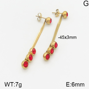 Stainless Steel Earrings  5E4001985baka-696