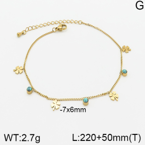 Stainless Steel Anklets  5A9000718vbpb-669