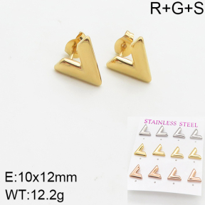 Stainless Steel Earrings  5E2002252ahlv-436