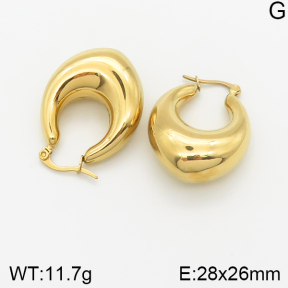 Stainless Steel Earrings  5E2002258bhia-669