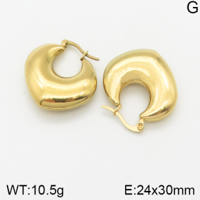 Stainless Steel Earrings  5E2002259bhia-669