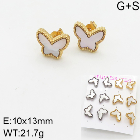 Stainless Steel Earrings  5E3000920aikl-436