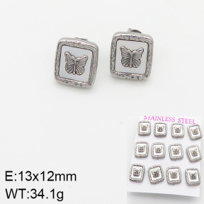 Stainless Steel Earrings  5E3000925aija-436