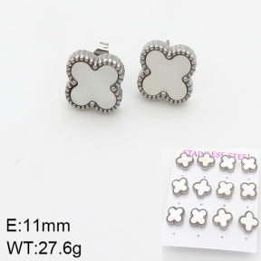 Stainless Steel Earrings  5E3000927aija-436