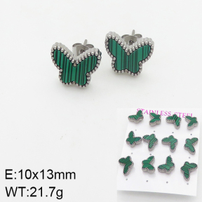 Stainless Steel Earrings  5E4002029aija-436