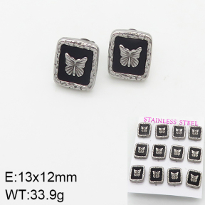 Stainless Steel Earrings  5E4002044aija-436
