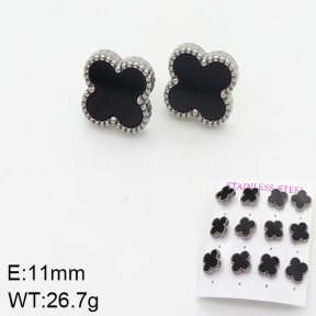Stainless Steel Earrings  5E4002047aija-436