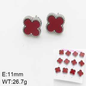 Stainless Steel Earrings  5E4002060aija-436