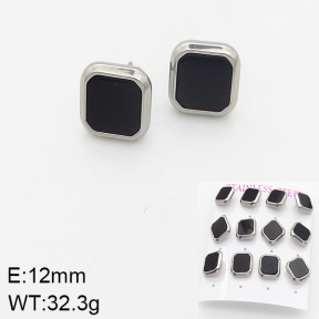 Stainless Steel Earrings  5E4002069aija-436