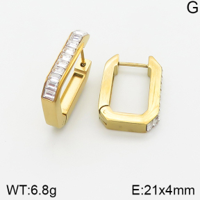 Stainless Steel Earrings  5E4002078vhha-669