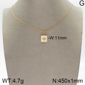 Stainless Steel Necklace  5N3000452bbml-436