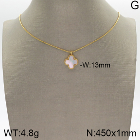 Stainless Steel Necklace  5N3000454bbml-436