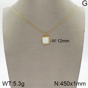 Stainless Steel Necklace  5N3000456bbml-436