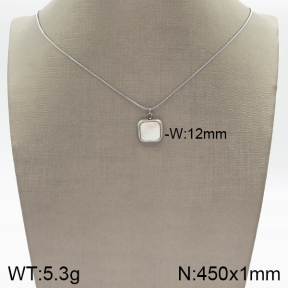 Stainless Steel Necklace  5N3000457vbll-436