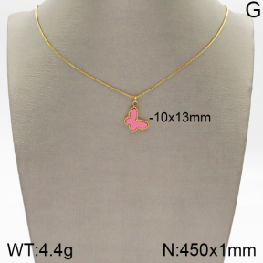 Stainless Steel Necklace  5N4001490bbml-436