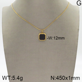 Stainless Steel Necklace  5N4001512bbml-436