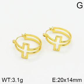 Stainless Steel Earrings  2E2001707baka-319