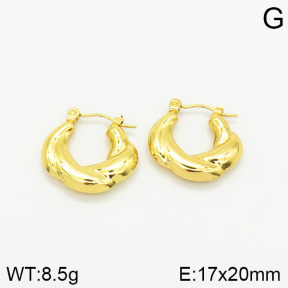 Stainless Steel Earrings  2E2001708baka-319