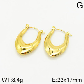 Stainless Steel Earrings  2E2001715baka-319