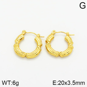 Stainless Steel Earrings  2E2001716baka-319