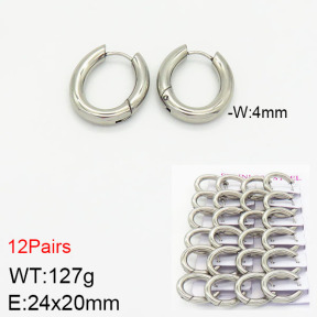 Stainless Steel Earrings  2E2001729bnib-617