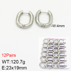 Stainless Steel Earrings  2E2001731bmmb-617